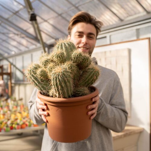 Copiapoa haseltoniana gigantea Ø 30 - 634F